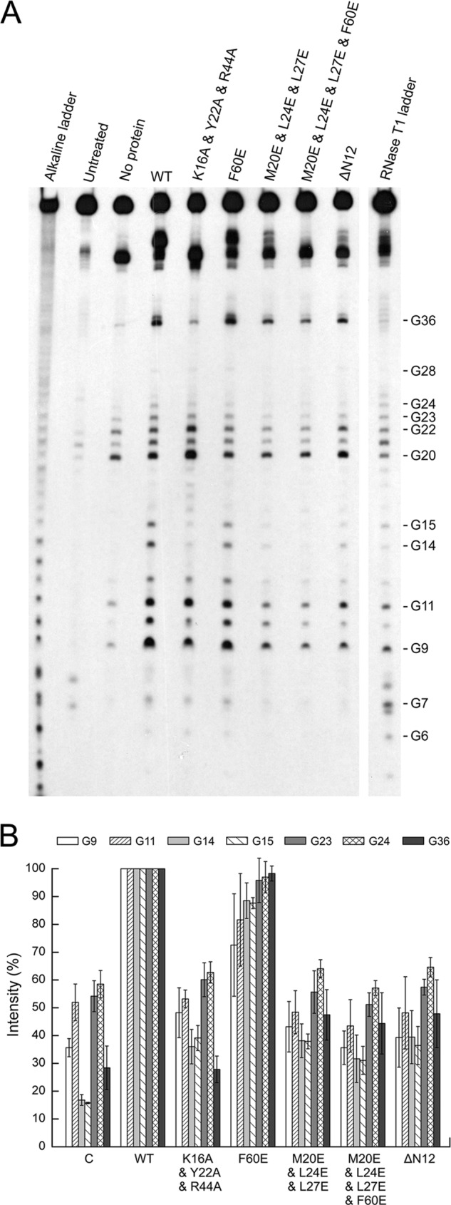 FIGURE 5.