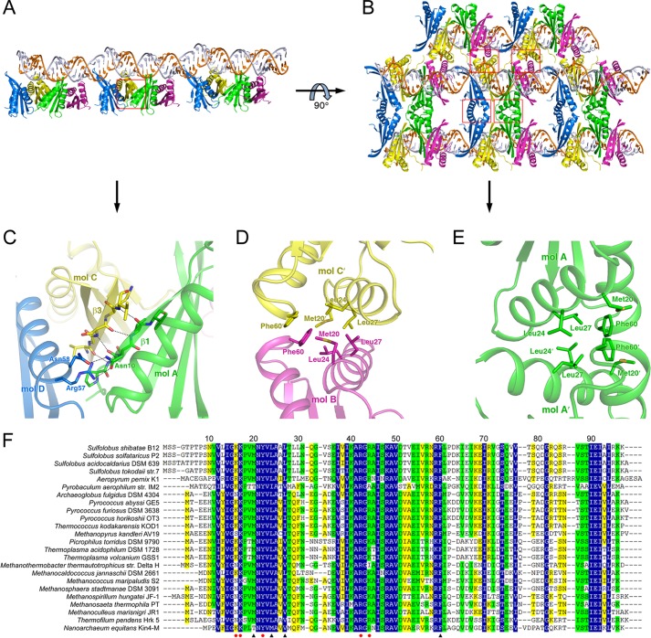 FIGURE 3.