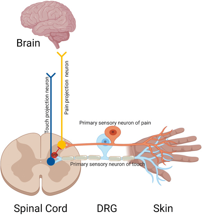 Fig. 1