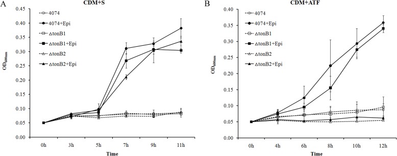 Fig 5