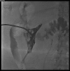 <b>FIG. 2.</b>