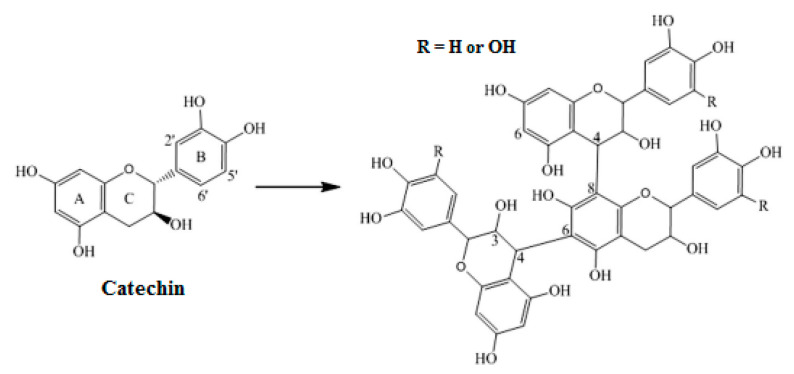 Figure 8
