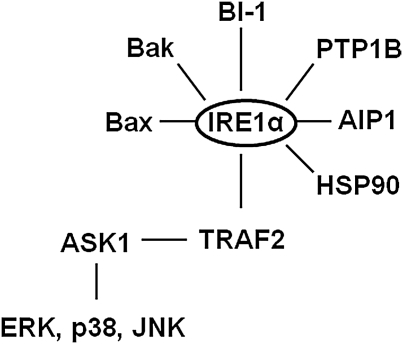 FIG. 5.