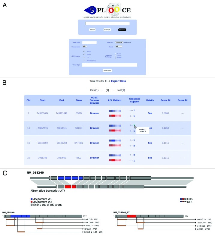 graphic file with name rna-9-1339-g2.jpg