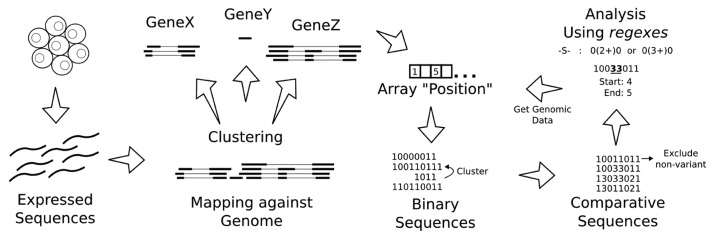 graphic file with name rna-9-1339-g1.jpg