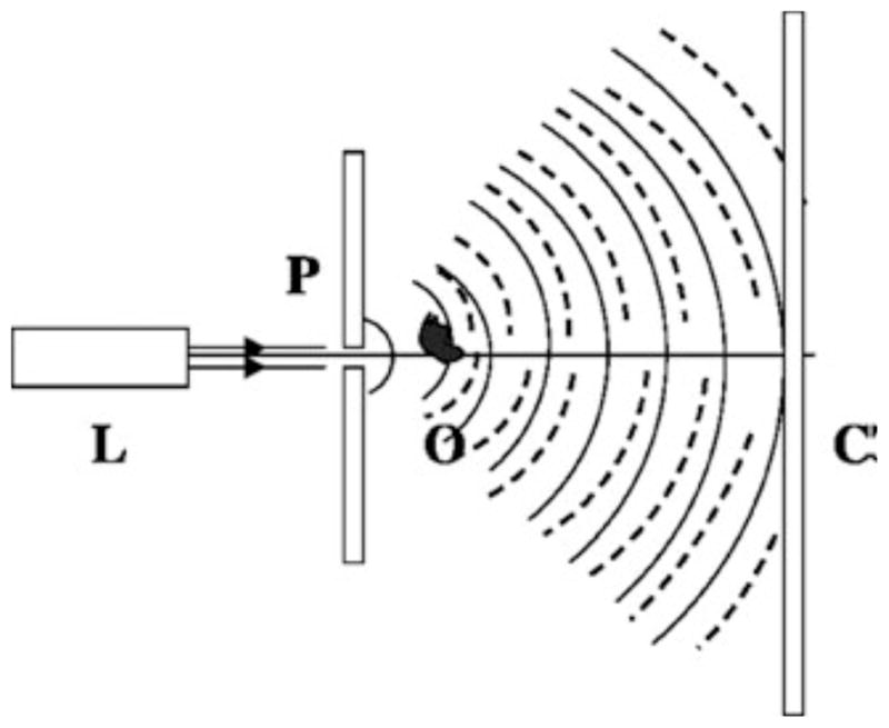 Fig. 2