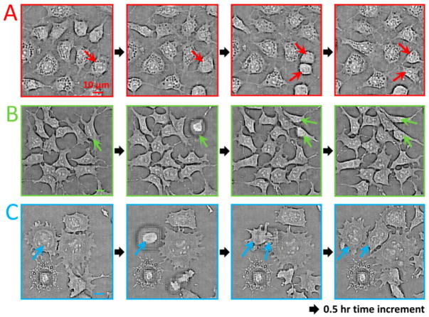 Fig 13