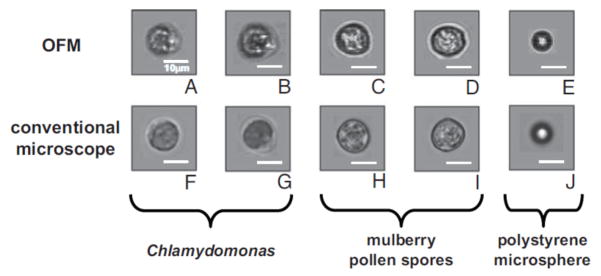 Fig. 16