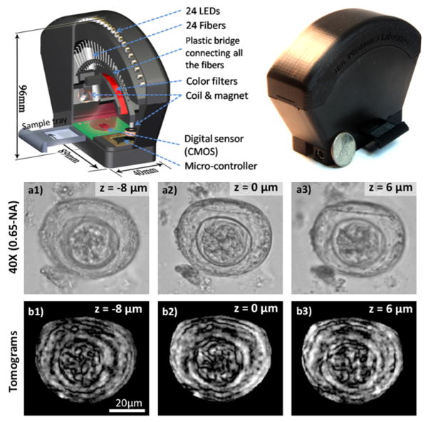 Fig. 19