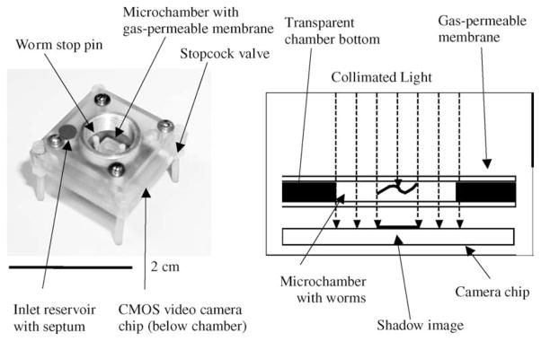 Fig. 12