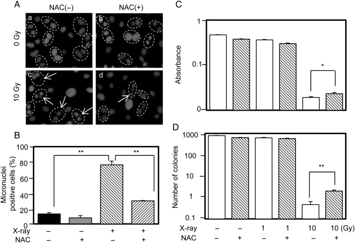 Fig. 4.