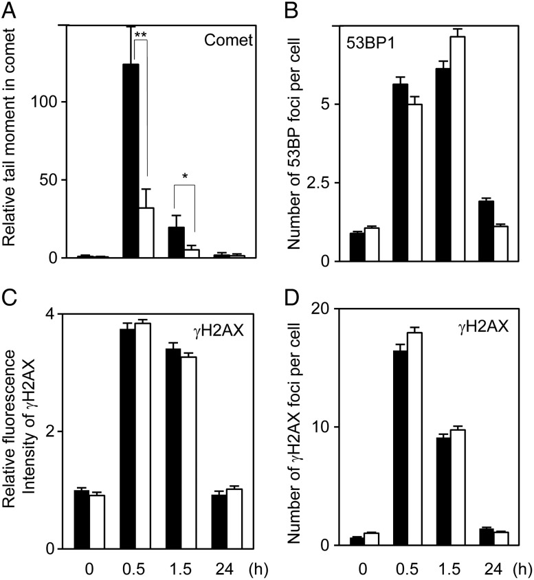 Fig. 2.