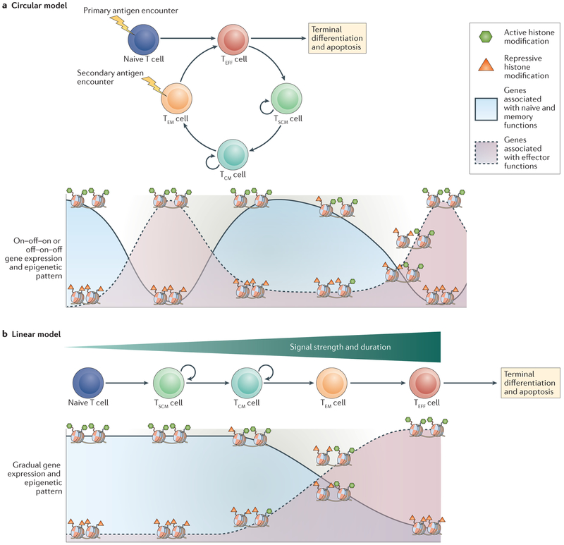 Figure 1 |