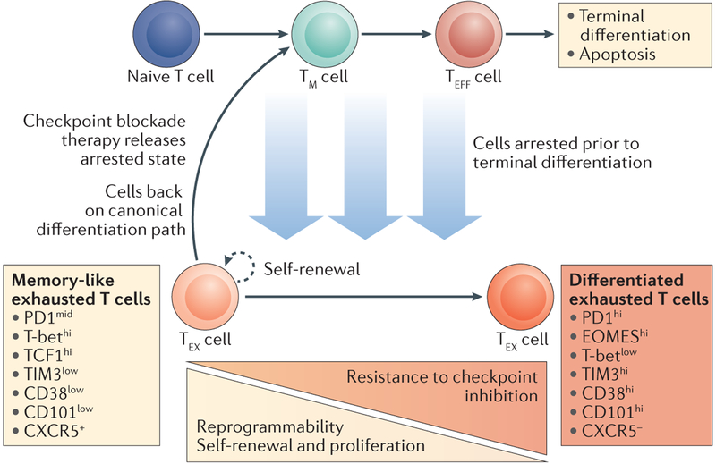 Figure 4 |