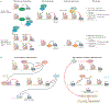 Figure 3 |