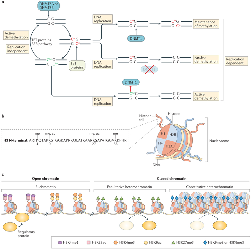 Figure 2 |