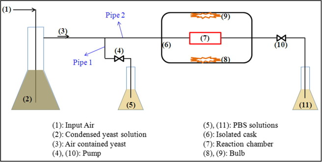 Fig. 1