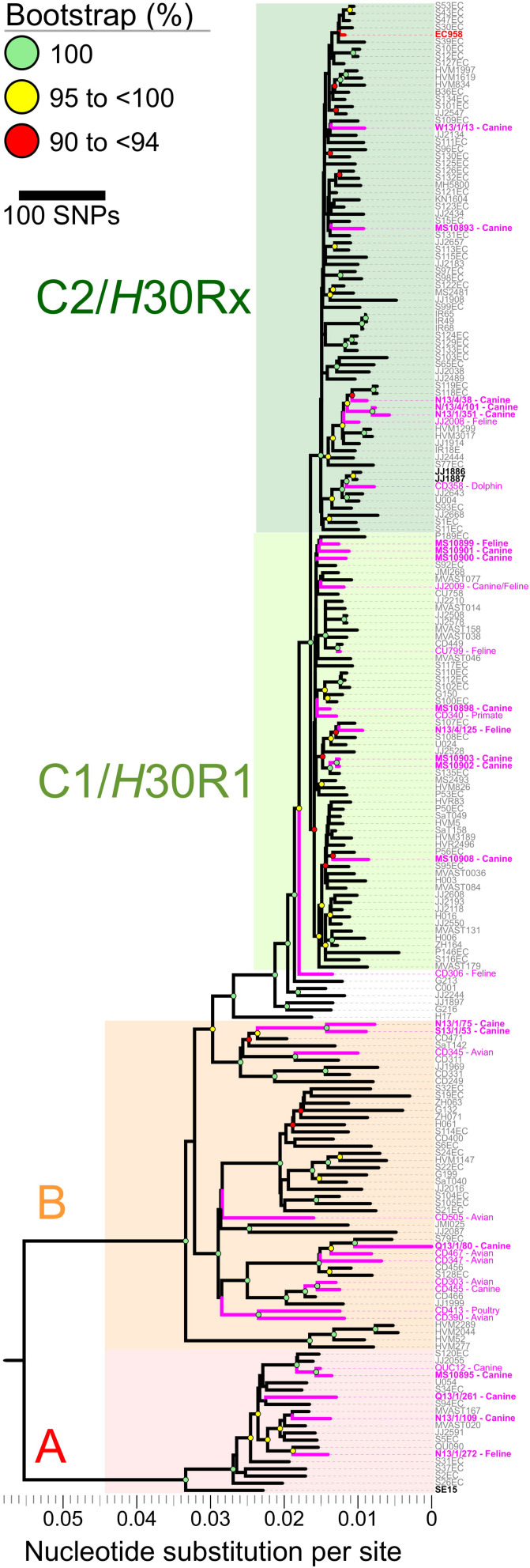 FIGURE 2