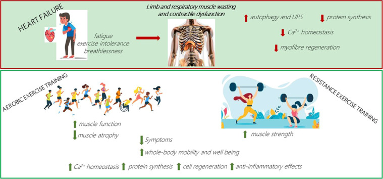 Image, graphical abstract