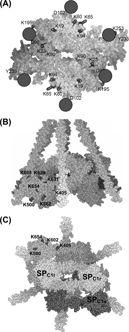 FIGURE 6.