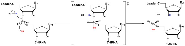 Scheme 2