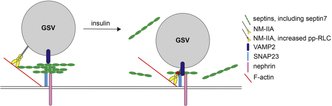 Fig. 9.