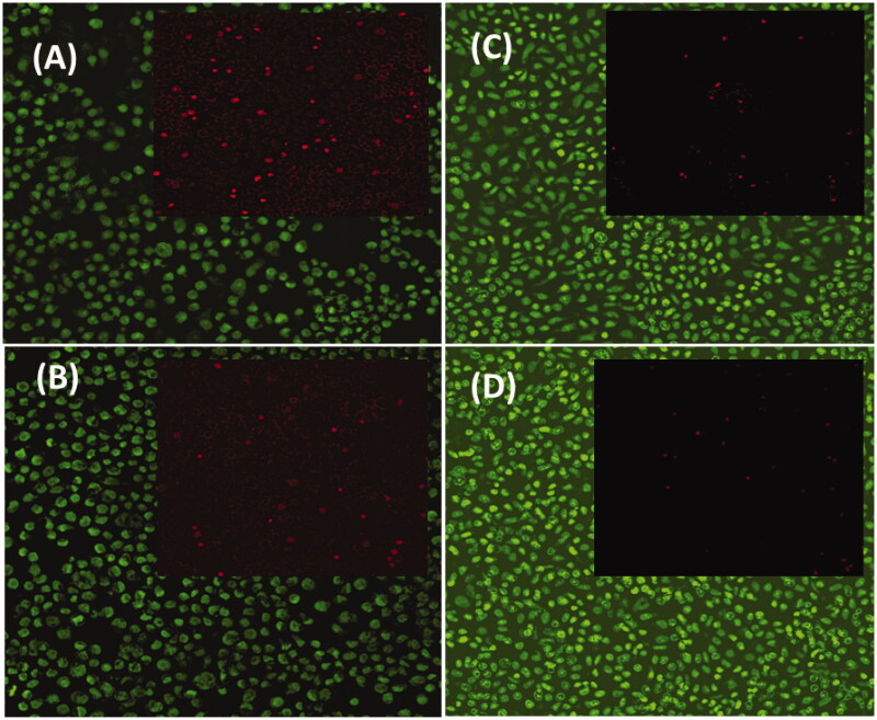 Figure 6.