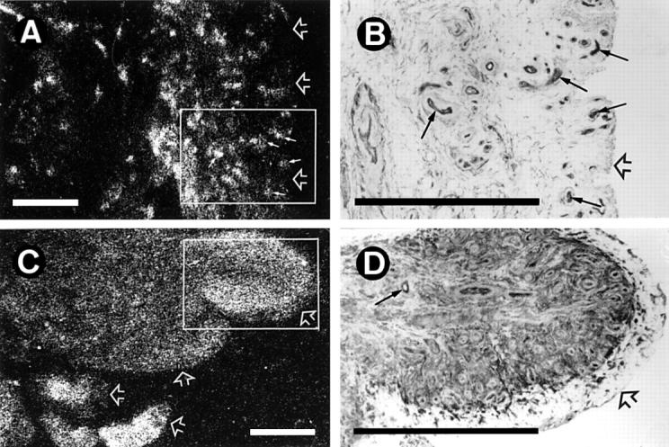 Figure 1  