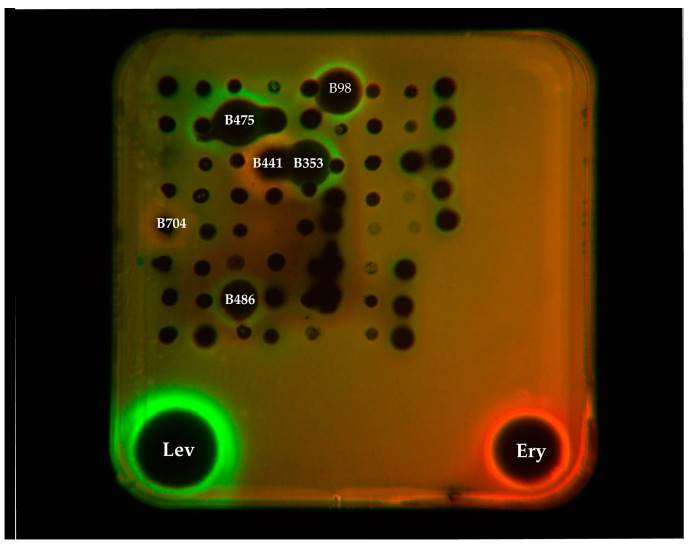 Figure 3