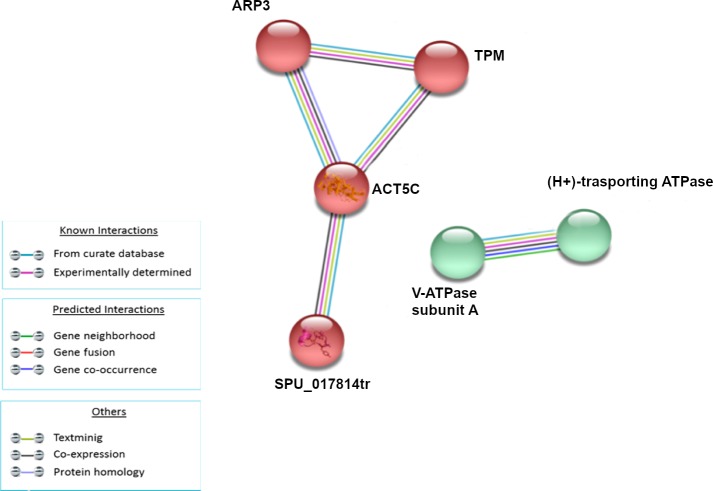 Fig 6