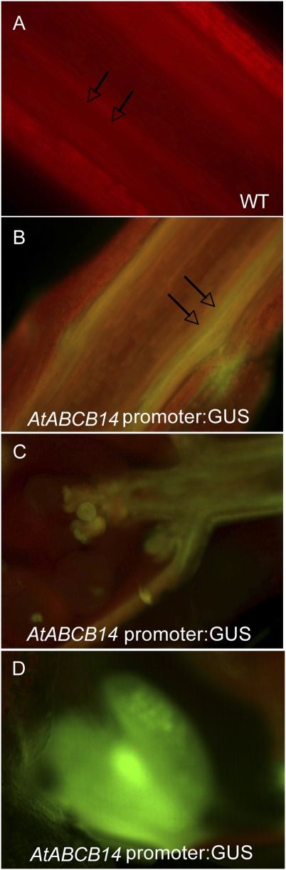 Fig. 4.