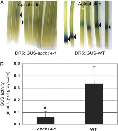 Fig. 7.