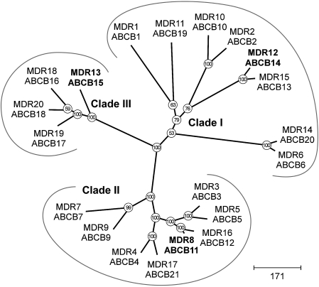 Fig. 10.