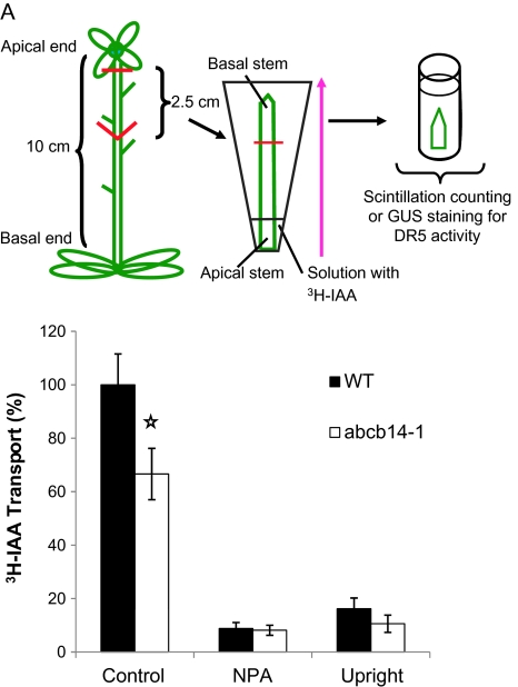 Fig. 6.