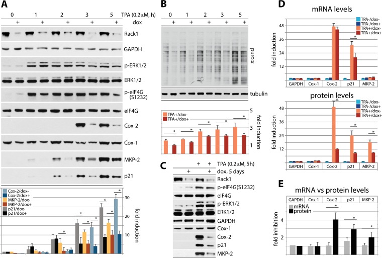 FIG 6