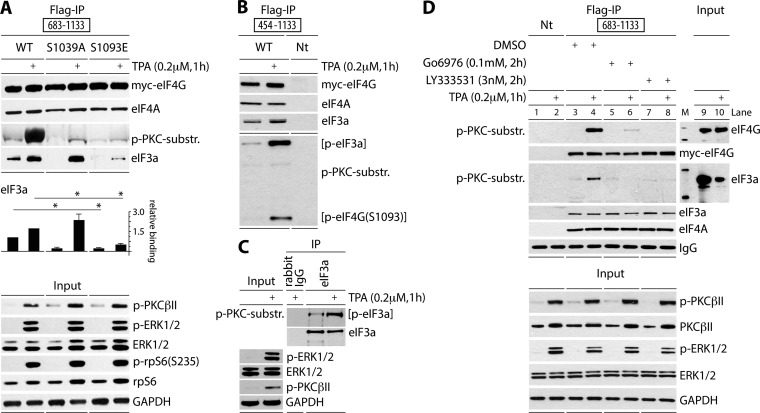 FIG 3