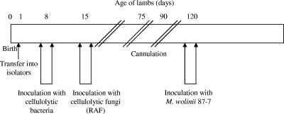 FIG. 1.