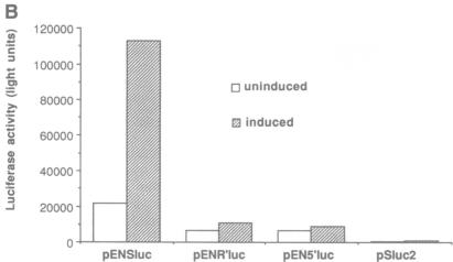 graphic file with name pnas01093-0214-b.jpg