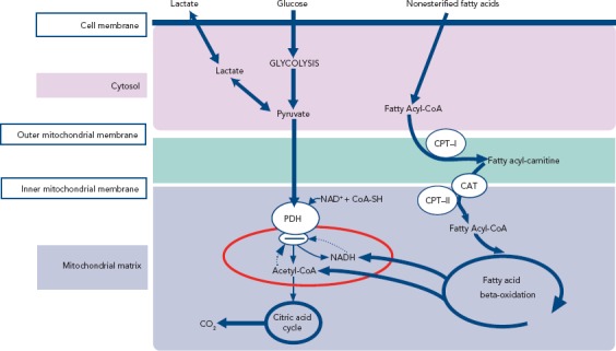 Figure 1: