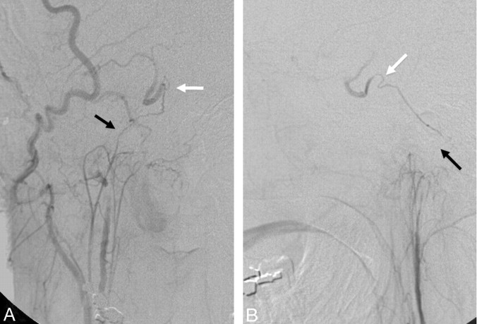 Fig 5.