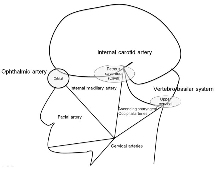 Fig 1.