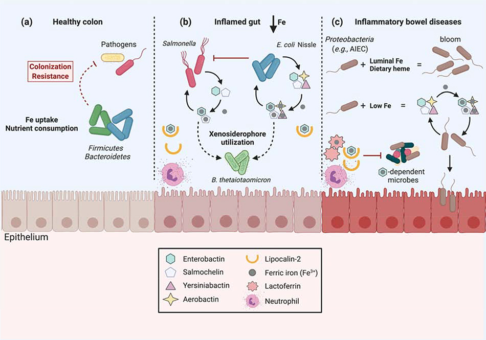 Figure 3.