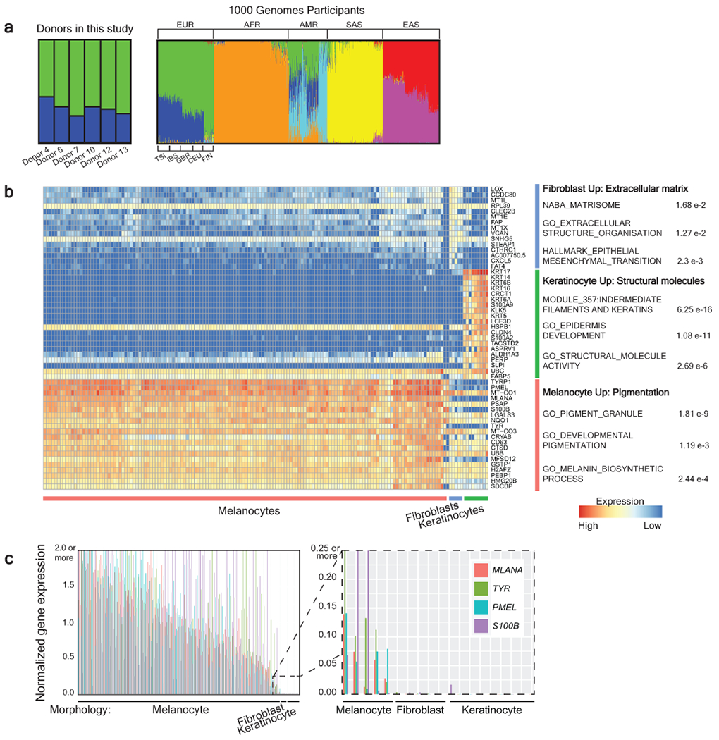 Extended Data Figure 1 |