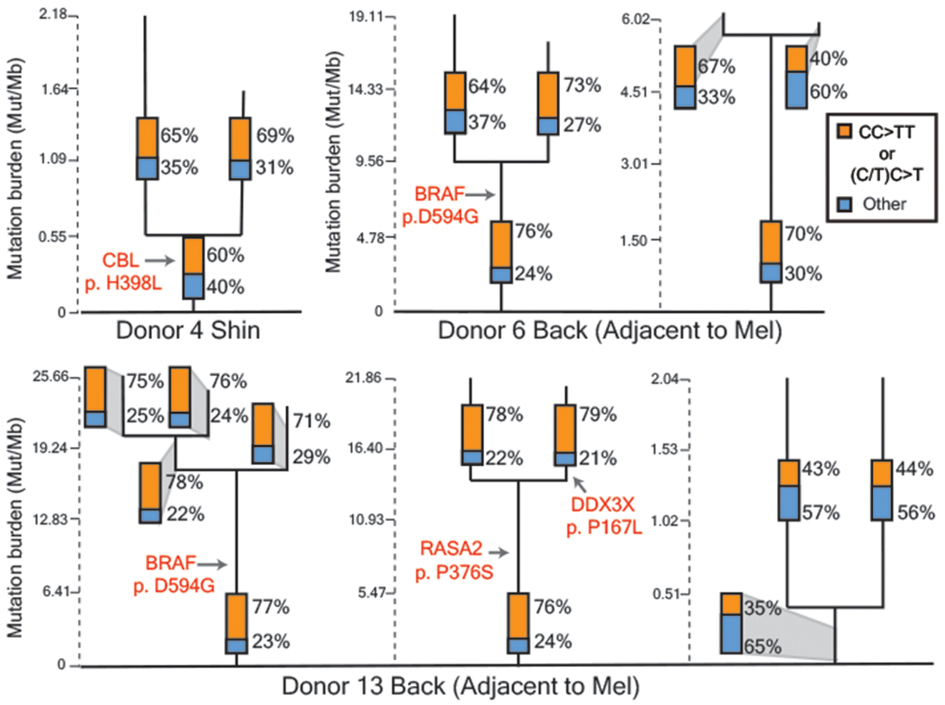 Figure 4 |