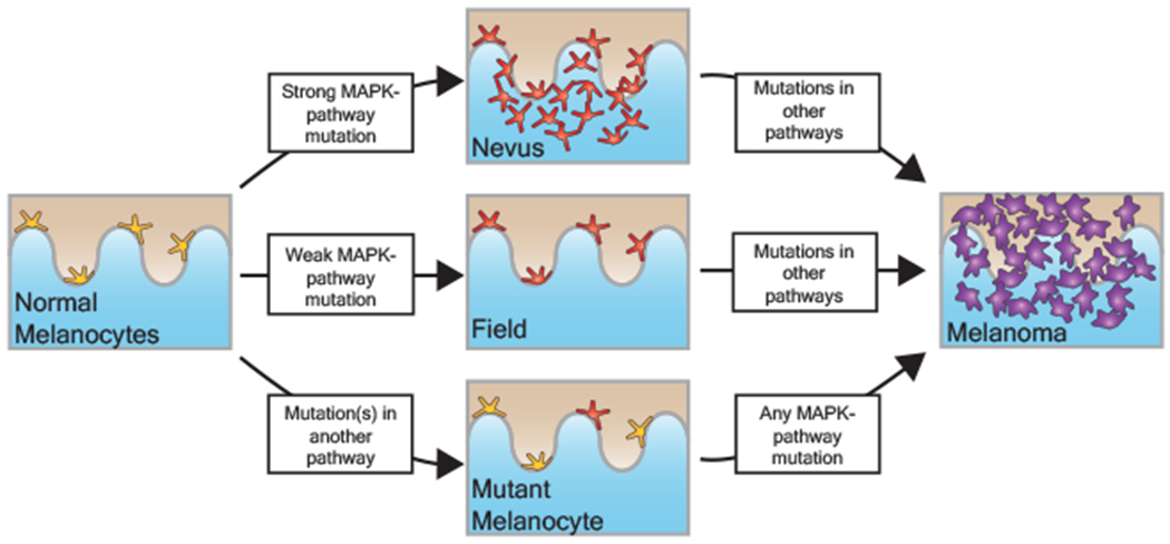 Figure 3 |