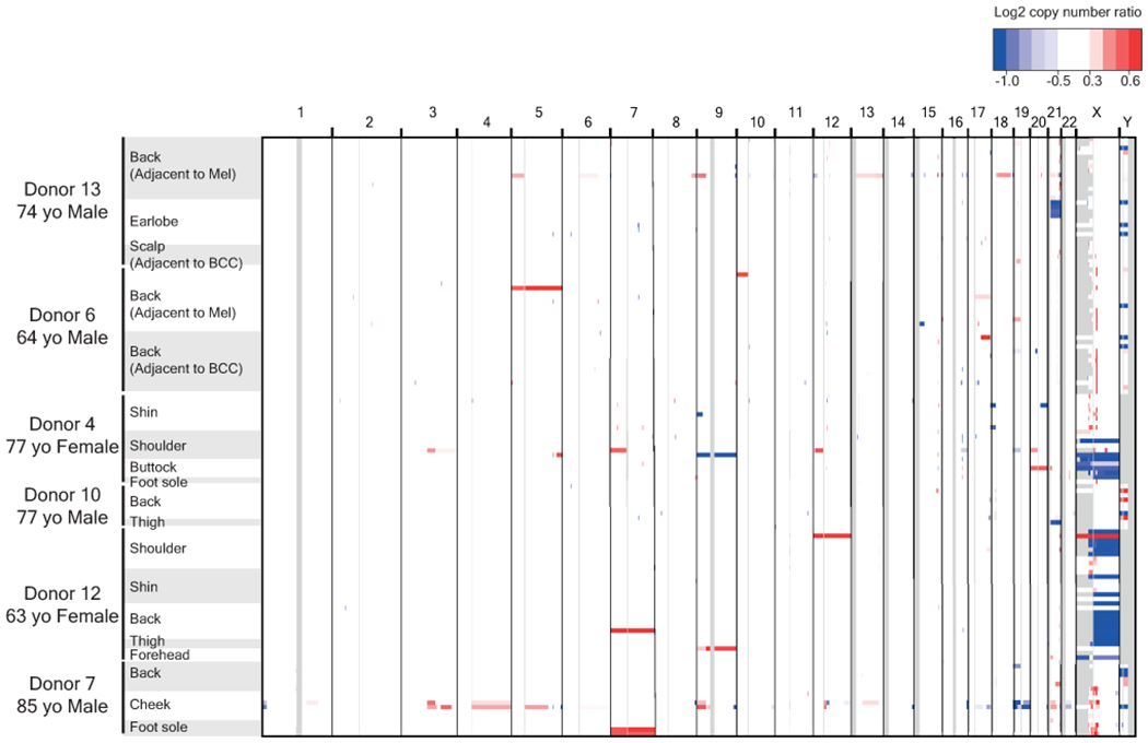 Extended Data Figure 6 |