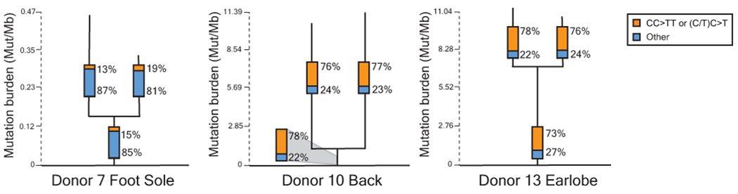 Extended Data Figure 7 |