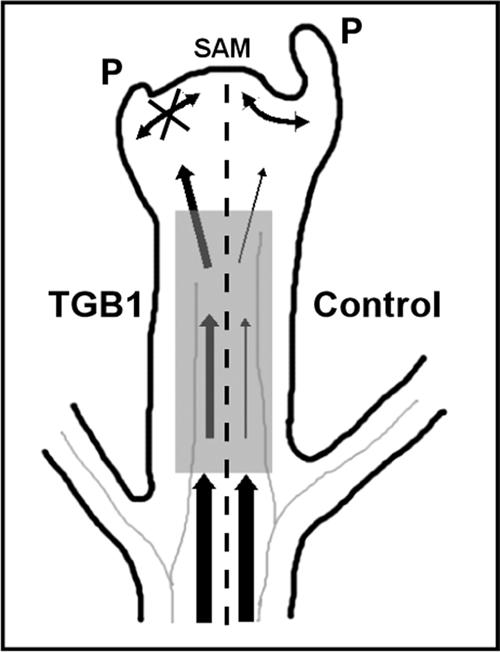 Figure 9.