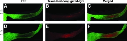 FIG. 10.