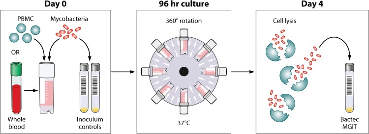 FIG 1